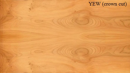 Yew Crown Wood Veneer